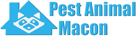Macon Wildlife and Animal Removal